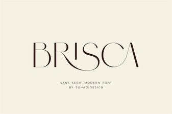 Brisca Font: Modern Designs & Creative Applications